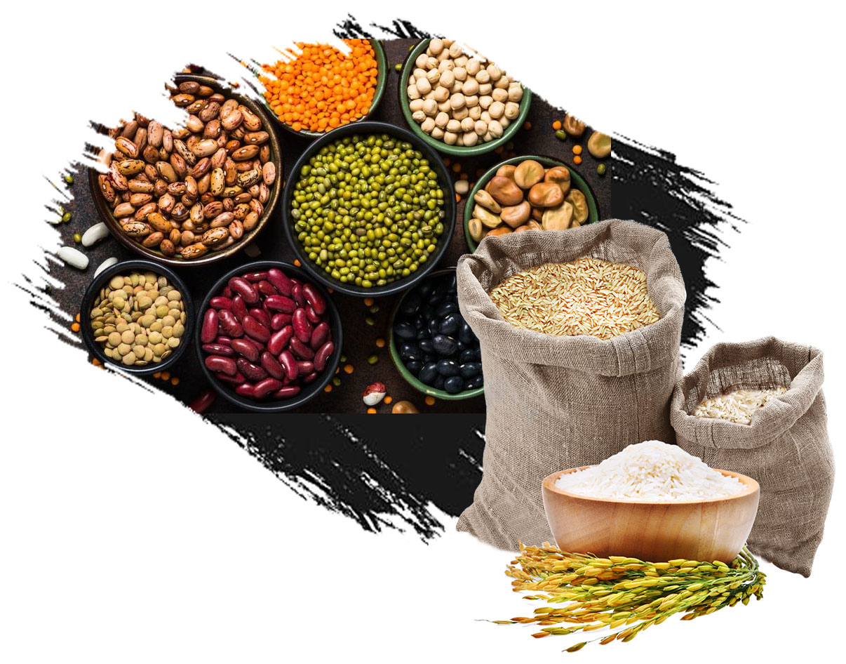 thamarai-agro-exports-chennai thamarai-agro-exports-chennai